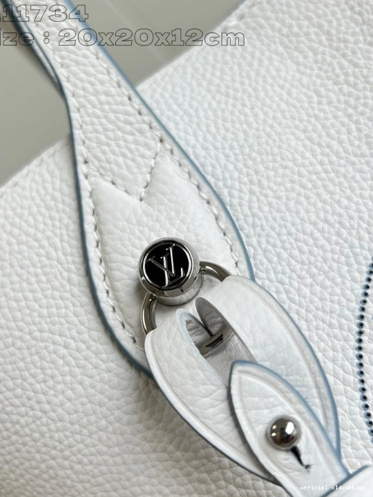 Official oldcobbler Blossom VUITTON PM LOUIS 0730